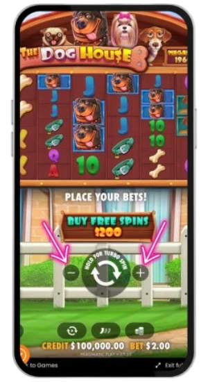 Adjusting the bet in The Dog House Megaways slot