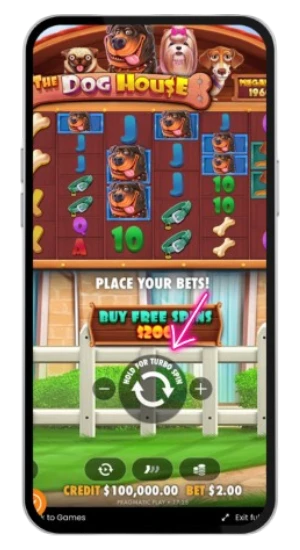 Starting the game in The Dog House Megaways slot